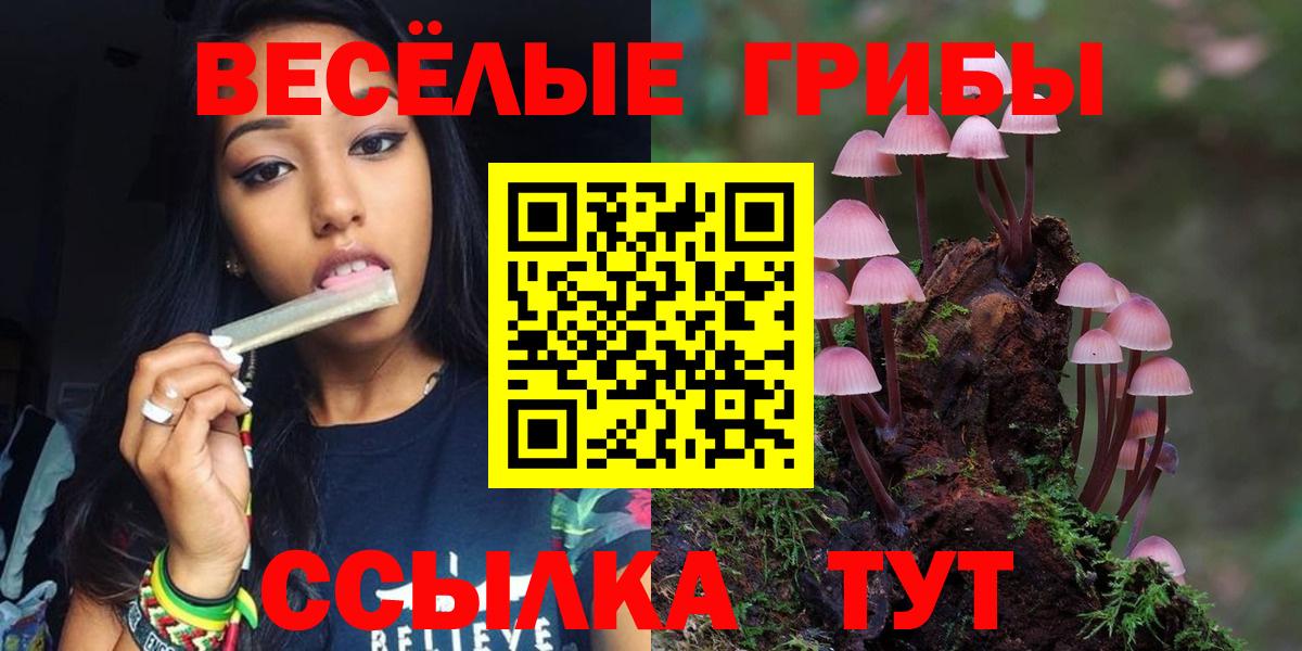 Псилоцибиновые грибы Psilocybine cubensis  Вход с VPN  Россошь 