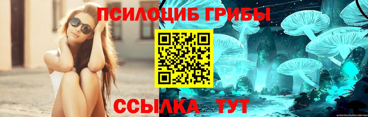Псилоцибиновые грибы мицелий Россошь